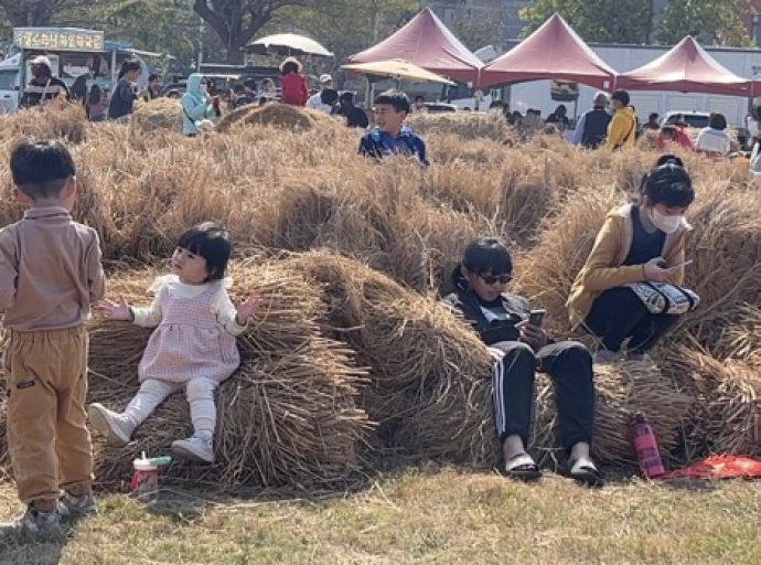 用心找年味 埔心鄉公所推到草迷宮