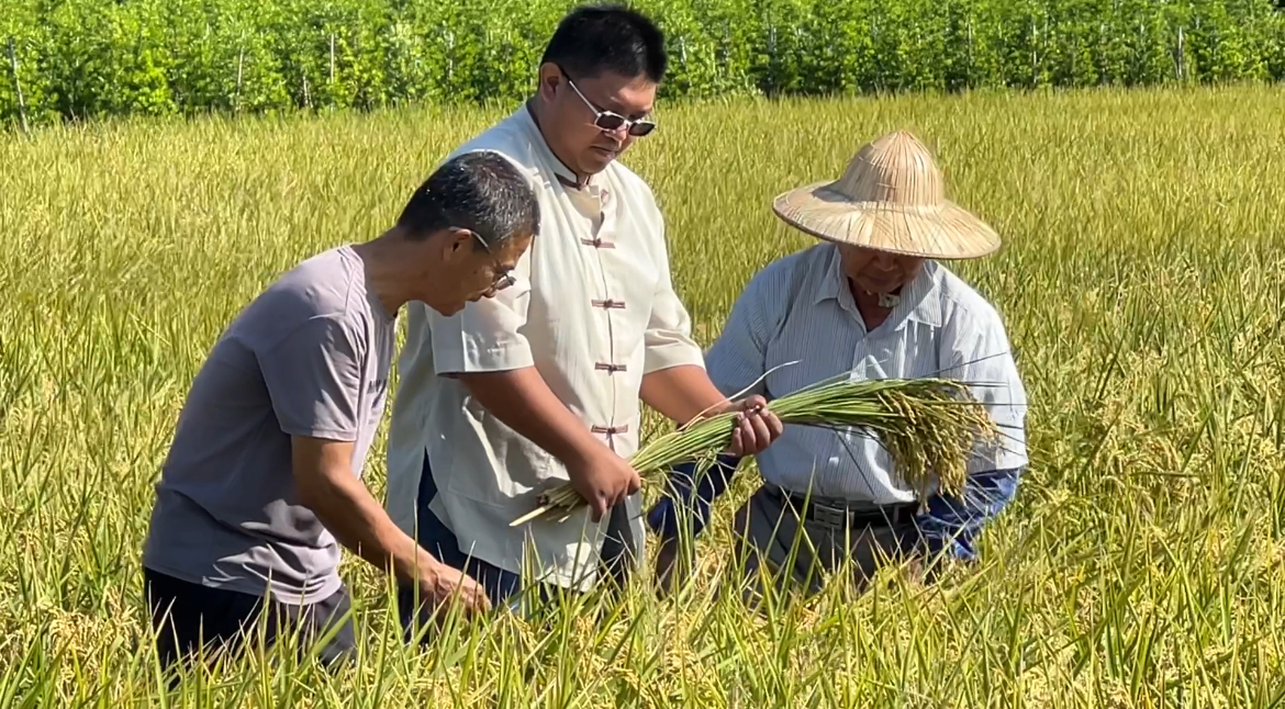 (大頭條新聞TOP-News)