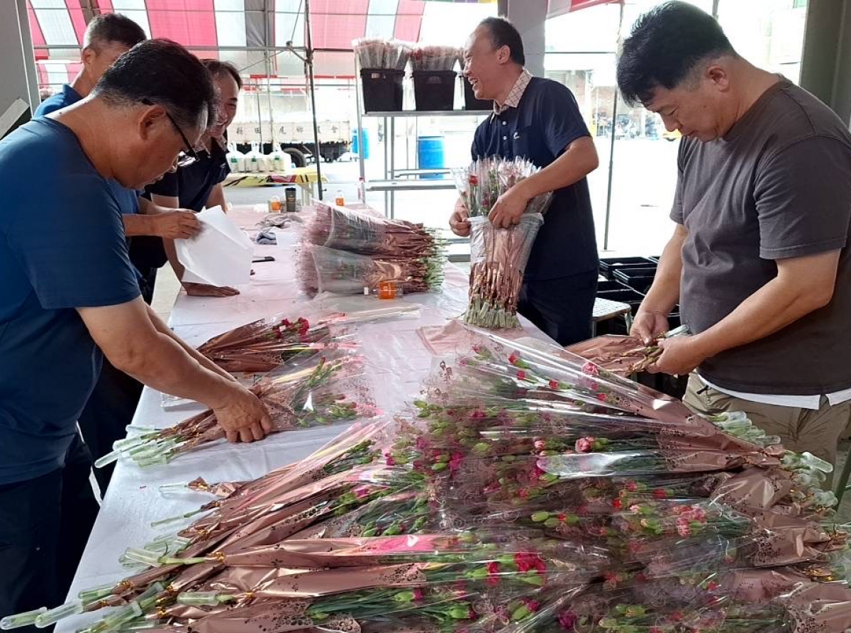隨著母親節將至康乃馨量少導致價格上漲三成，市場零售價格飆漲至一枝35元
