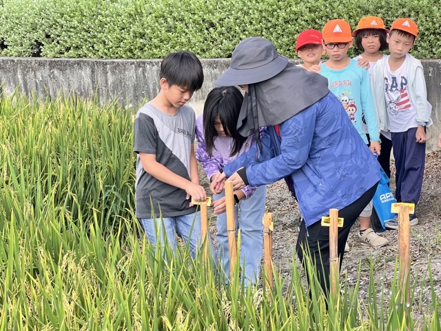 (大頭條新聞TOP-News)